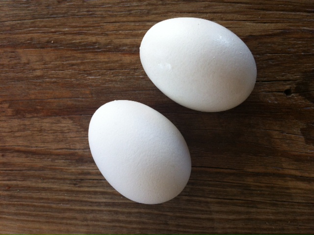 hard boiled eggs